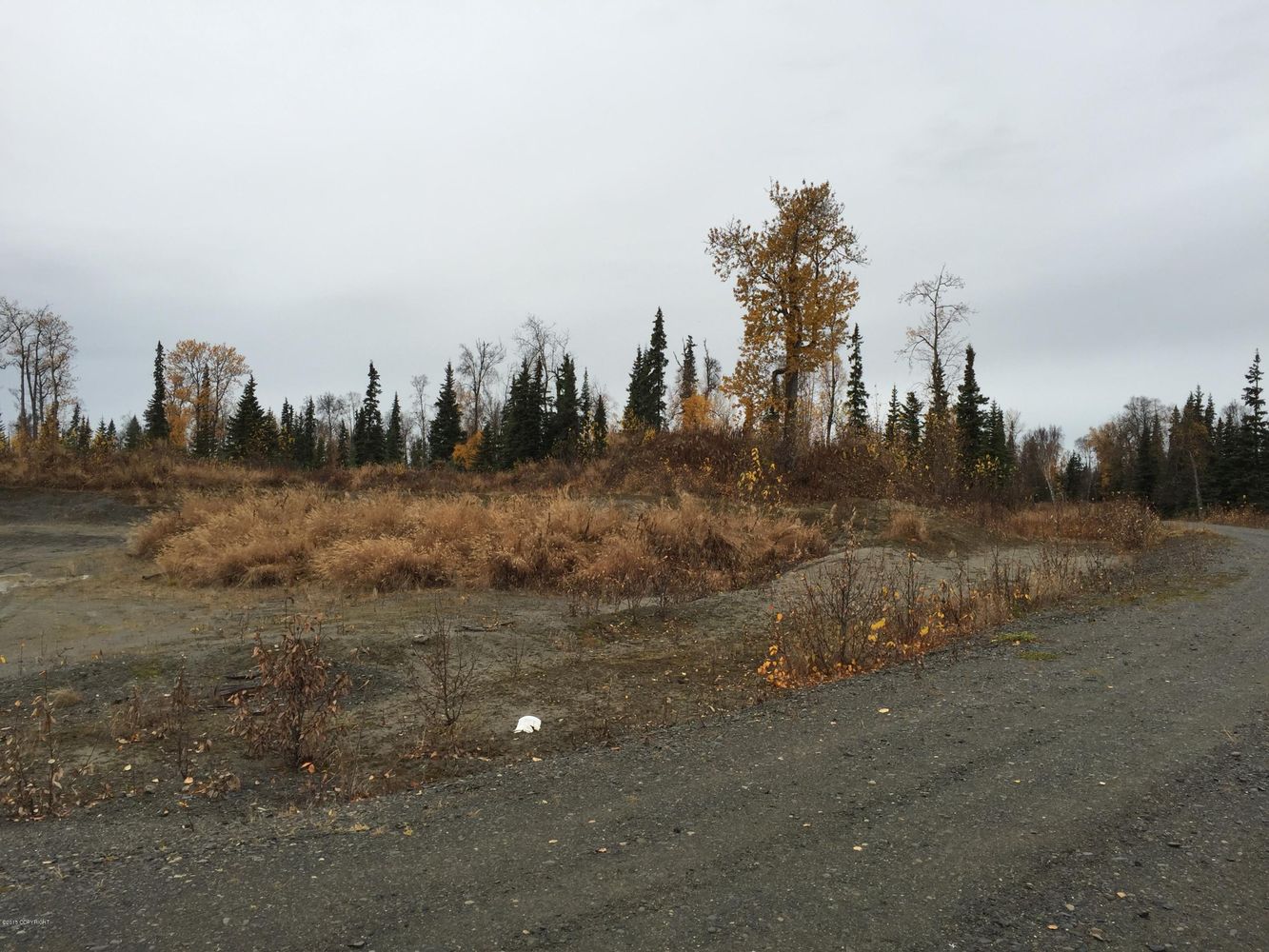 63885 Tailwind Rd, Ninilchik, AK 99639